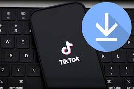 The Best Tiktok Video Downloader: Download Your Favorites Now